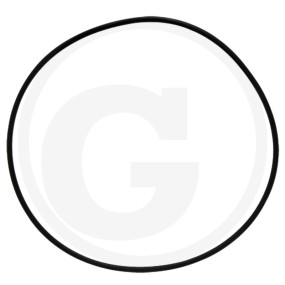 O-Ring Granit 56031 00260180
